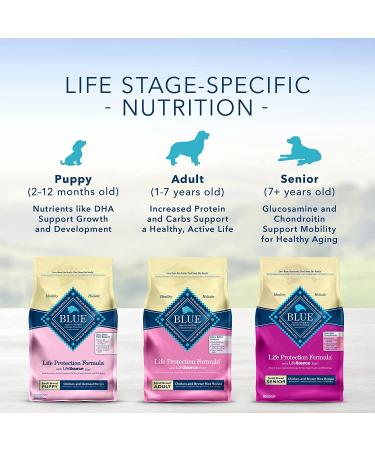 Blue Buffalo Life Protection Formula Small Breed Dry Dog Food - Natural & Nutritious Adult Formula - Buy Online on GoSupps.com