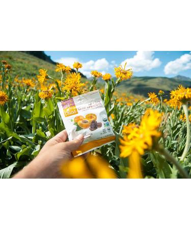 Organic Unsulfured Turkish Apricots - Non-GMO Dried Fruit Snacks (12 Pack) - Healthy On-the-Go & Post Workout Snack - Buy Online on GoSupps.com
