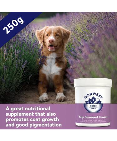Dorwest Kelp Seaweed Powder 250g Natural Multivitamin Powder for Dogs and Cats Natural Mineral Supplement for Coat Growth and Pigmentation - Buy Online on GoSupps.com
