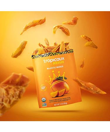 Organic Dried Mango Pack - Healthy Vegan Snacks for Kids & Adults | Tropicaux Reign | Non GMO, No Added Sugar | 3oz x 2 Pack (6oz Total) - Buy Online on GoSupps.com
