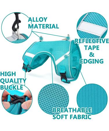 Cat Dishes & Leash Set - Reflective Patrol Gear for Cats | International Shipping Available - Buy Online on GoSupps.com