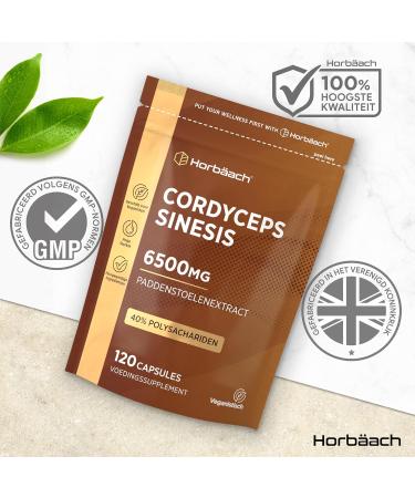 Cordyceps Capsules 6500mg 120 Vegan Capsules with High Strength Cordyceps Sinensis Mushroom Extract from Horbaach - Buy Online on GoSupps.com