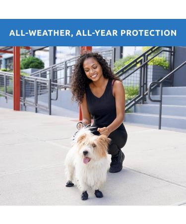 eta Title: Pawz Dog Black Dog Boots | Waterproof & Durable Pet Shoes - Buy Online on GoSupps.com