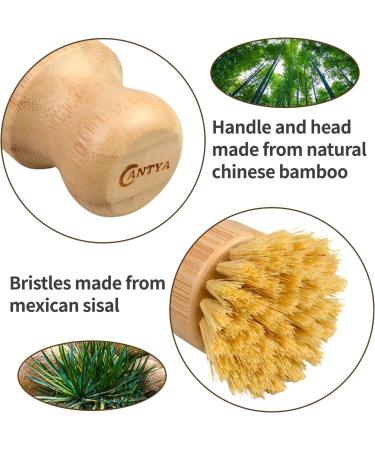 Bamboo Dish Brush - 3 Pcs Soft Natural Bamboo Wok Brush Dish Scrub Brush Pot Scrubber Dish Scrubber Brush Dishwashing Brush for Cleaning Pans Pots and Sink 3 Pcs Soft Brush - Buy Online on GoSupps.com