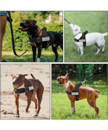 AUTOWT No Pull Dog Harness and Leash Set No Choke Escapeproof Neck & Chest Adjustable Reflective Dog Vest Harness 5.9 Ft Dog Leash Anti-Twist Pet Lead Soft Padded for Large Medium Dog(Black M) M Black - Buy Online on GoSupps.com
