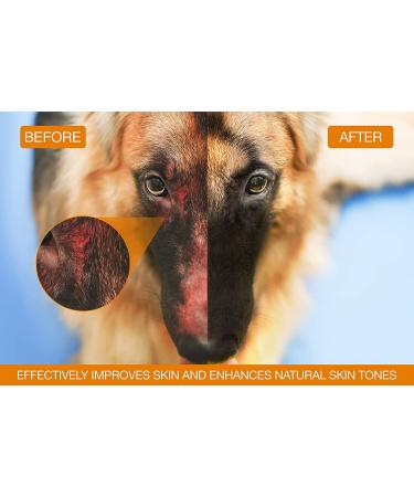 Wild Alaskan Salmon Fish Oil for Dogs & Cats | Joint, Immune & Heart Health Support | Omega 3 + EPA + DHA | Healthy Skin & Coat | 8 oz - Buy Online on GoSupps.com