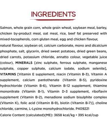 Beneful Originals Dry Dog Food Real Salmon - 12.7 kg Bag 1.27 kg (Pack of 1) - Buy Online on GoSupps.com