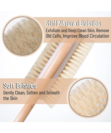 Double Sided Shower Brush | Long Handle Back Scrubber and Bath Brush - Buy Online on GoSupps.com