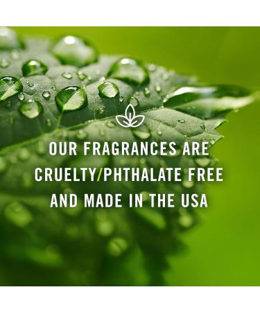 P&J Trading Red Cherry Oil 10ml | Premium Essential Oil for Candle Making Diffusers Soap & Perfume - International Shipping Available - Buy Online on GoSupps.com