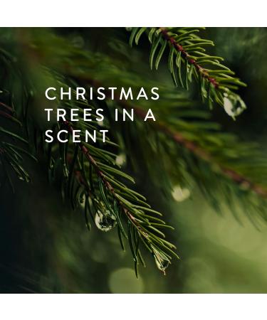 Thymes Frasier Fir All-Purpose Cleaner - Biodegradable Household Spray with Essential Oils for Kitchens & Bathrooms - 16 fl oz - Buy Online on GoSupps.com