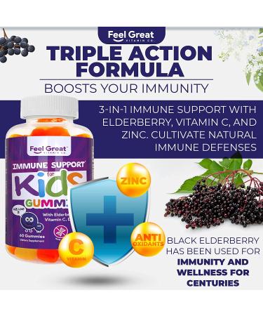 Kids Immunity Support Gummies (60 Count) with Elderberry, Zinc, Vitamin C | Feel Great Vitamin Co. | Pectin Based Formula | Sambucus Nigra Supplement - Buy Online on GoSupps.com