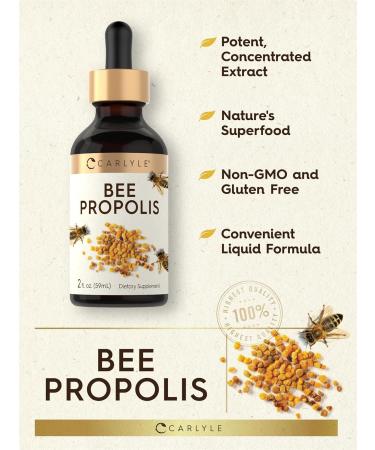 Carlyle Bee Propolis Tincture Drops | 2 Fl Oz | Liquid Extract | Non-GMO Gluten Free Supplement - Buy Online on GoSupps.com
