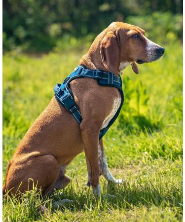 Shop Lionto Padded Anti-Pull Dog Harness - Adjustable Reflective Safety Harness in Blue Size M - International Shipping Available - Buy Online on GoSupps.com