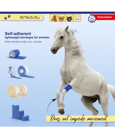Protectaplast Self-Adhesive Bandage for Pets | 3 Pieces (2.5cm x 4.5m) | Latex & Glue-Free Dressing for Dogs Cats & Horses - Wound Care & Joint Support - Buy Online on GoSupps.com