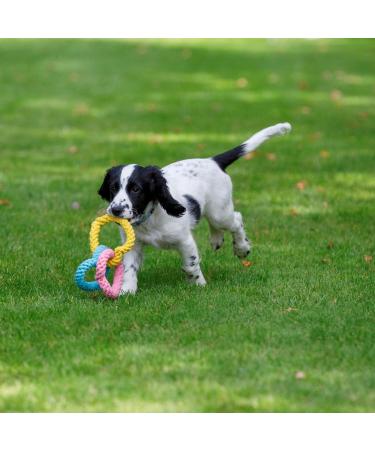 Petface Little Dog Toy with Rope Hearts | Durable Chew Toy for Small Dogs | Shop Internationally - Buy Online on GoSupps.com