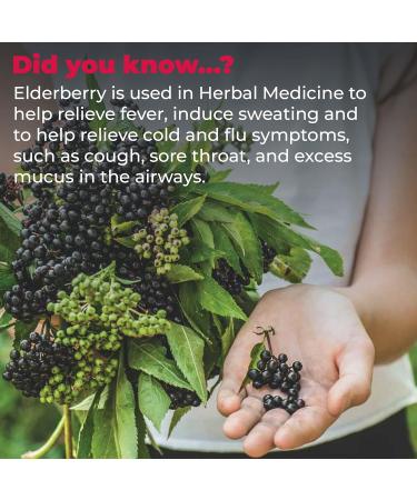 Wampole Adorable Immunity Syrup Black Elderberry + Vitamin D Helps Support the Immune System & Relieve Cold & Flu Symptoms 150 ml - Buy Online on GoSupps.com