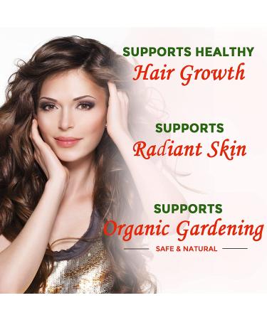 Blue Lily Organic Neem Oil 8 fl oz - USDA Certified 100% Natural Cold Pressed Unrefined Pure Oil for Skin, Hair, Nails, Plants, and Organic Gardening - Buy Online on GoSupps.com