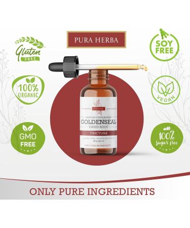 Goldenseal Tincture | Premium Alcohol-Free Herbal Extract from Goldenseal Root | Liquid Botanical Supplement | Traditional Herbal Formula | Made in USA - 2 oz (60 ml) 2 Fl Oz (Pack of 1) - Buy Online on GoSupps.com