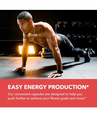 HAVASU NUTRITION High Strength Ashwagandha Supplement Capsules (45 Servings) & French Maritime Pine Bark Extract Capsules (30 Servings) - Buy Online on GoSupps.com