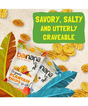 Barnana Plantain Chips Variety Pack - Spicy Mango Salsa + Sea Salt Vinegar - Paleo Vegan Snack - USDA Organic - 5oz (6-Pack) - Buy Online on GoSupps.com