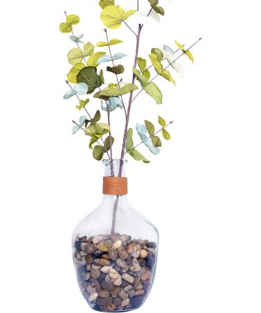 Galashield 2 lb Bag Polished River Rocks for Plants, Vases, Landscaping, Aquariums - 1-2 cm Decorative Stones - Buy Online on GoSupps.com