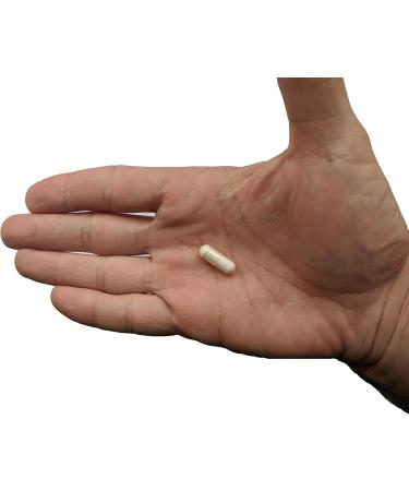 Premium Probiotic plus Ultimate Prebiotic - Gut Biome Builder & Restoration - 4.4 Bn CFU - Best for Women & Men - Bacteria Reaches Intestine within Hours - No Refrigeration - Bacillus Subtilis - Buy Online on GoSupps.com