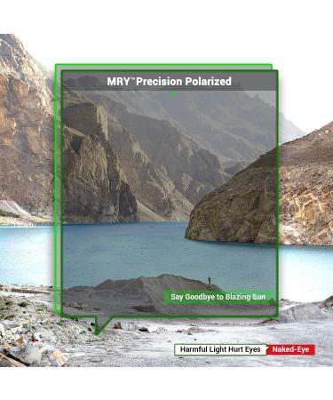 Mryok 4 Pairs Polarized Replacement Lenses for Rudy Project Rydon Sunglasses - Stealth Black Fire Red Ice Blue Silver Titanium | International Shipping Available - Buy Online on GoSupps.com