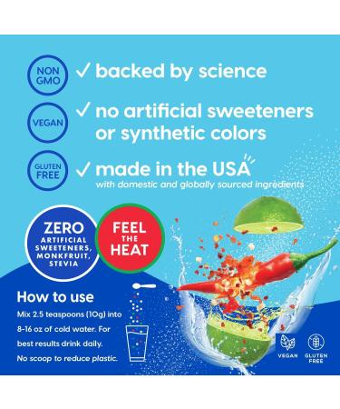 HYDRANT Bulk Electrolyte Drink Mix Fast Acting Hydration with Real Fruit Juice Powder Sweetened with Cane Sugar and No Artificial Sweeteners Bulk Electrolytes (30 Servings Chili Lime) - Buy Online on GoSupps.com