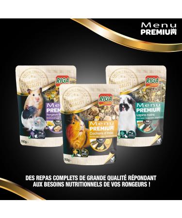 Riga - Premium Menu for Granivorous Rodents - Mix of Seeds Cereals Vegetables Fruits and Nuts - Tri-Nutrition Concept - Ri - Buy Online on GoSupps.com