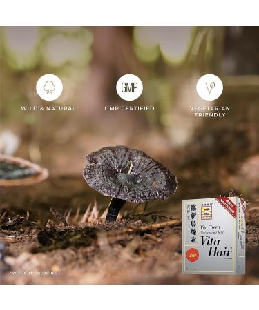 Vita Hair Growth & Hair Loss Supplement - 100% Natural Herbs for Thinning & Greying Hair - Stimulates New Hair Follicles - Men/Women - 90 Capsules - Buy Online on GoSupps.com