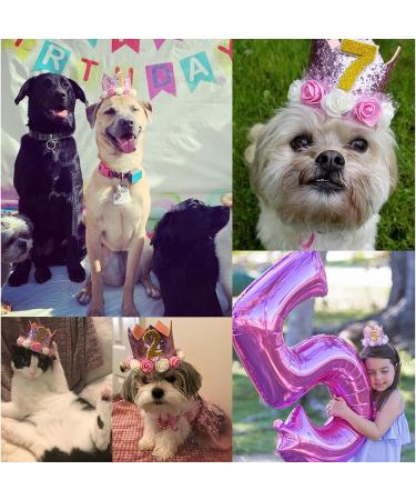 POSAPET Crown Dog Birthday Hat Reusable Doggie Birthday Party Hat for Pets Glitter Crown Hats for Dogs Cats Kitten Headband Hats Pink - Buy Online on GoSupps.com