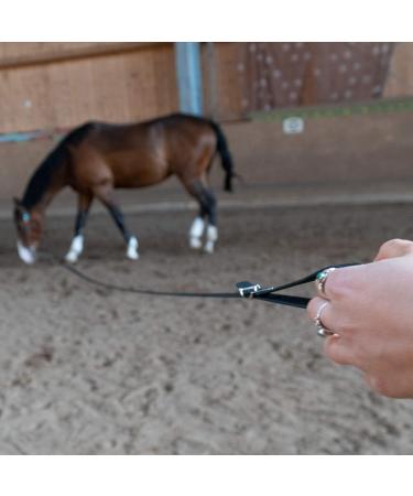 Bio-Line Lunge Softlone - 16mm Biothane Lunging Line with Hand Loop for Equestrian Sport - 5m Black - Buy Online on GoSupps.com