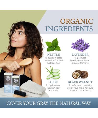 20-Minute DIY Hair Root Touch Up Spray - Vegan Ammonia-Free Chestnut Brown for Men & Women | 100% Non-Toxic Gray Coverage - Buy Online on GoSupps.com