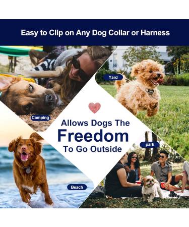 16.8m Long Dog Cable | Robust Pet Runner & Training Leash | Kauffest - International Shipping Available - Buy Online on GoSupps.com