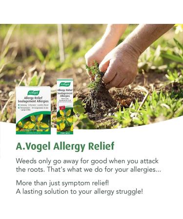 A.Vogel Allergy Relief | Allergy Medication For Hay Fever Symptoms Such As Sneezing Itchy Nose Scratching Throat Burning Eyes Watery Eyes | Non-Drowsy | Clinically Proven | Ages 2 Up | 120 Tabs - Buy Online on GoSupps.com