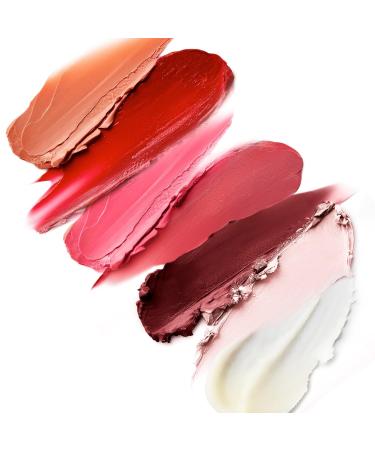 MDSolarscapes Hydrating Sheer Lip Balm SPF 30 - Natural Vegan Lip Moisturizer for Sun Defense - Chemical Free Creamy & Smoothing Balm in Spice - Buy Online on GoSupps.com