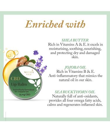 MotherSage CBD Lip Balm - Intensive Hydration and Healing for Dry Chapped Lips with 75mg CBD Shea Butter and Natural Oils | Vegan Cruelty Free THC Free | 15ml - Buy Online on GoSupps.com