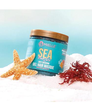 Mielle Organics Sea Moss Anti-Shedding Curl Gel Hair Masque - For Stronger, Healthier Curls - Buy Online on GoSupps.com
