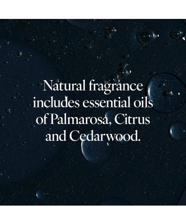 LATHER Desert Aloe & Agave Body Wash | Hydrating Paraben & Sulfate Free Skin Care | Gentle Cleansing for All Skin Types | 12 oz - Buy Online on GoSupps.com