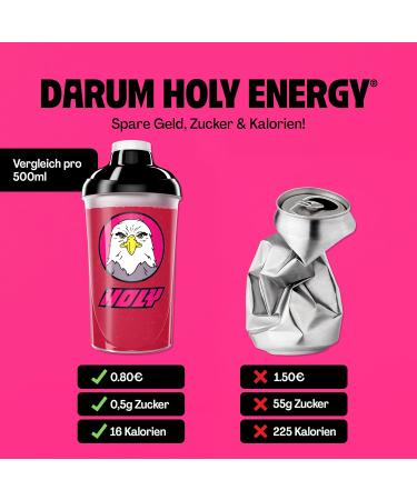 Holy Energy Gaming Booster 'Raspberry Raptor' - Vegan Focus Drink Powder | 50 Portions with Newcaff & Green Tea Extract | Natural Raspberry & Yuzo Flavor | Boost Focus & Energy - Buy Online on GoSupps.com
