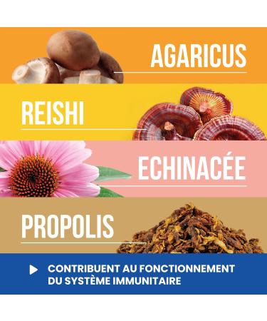 Propolis Capsules 12% Flavonoids | Reinforced Formula With Reishi Echinacea Agaricus | Enriched with Copper Iron Vitamin C and D | 40 Api-Nature Capsules - Buy Online on GoSupps.com