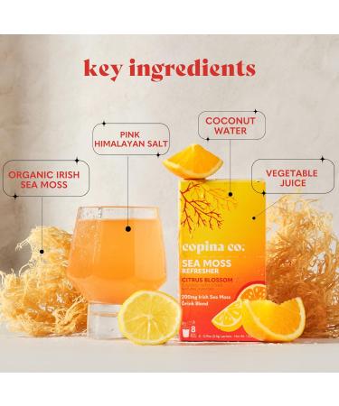 Organic Irish Sea Moss Powder - 200mg Packets - Citrus Blossom Flaored Electrolyte-Rich Coconut Water for Natural Hydration - 16 Stick Packs Citrus Blossom 3.04 Ounce (Pack of 1) - Buy Online on GoSupps.com