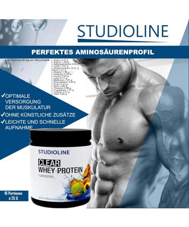  B.P.V Clear Whey Protein Isolate (97.7%) - 400g - Rich in BCAAs EAAs and amino acids - Buy Online on GoSupps.com