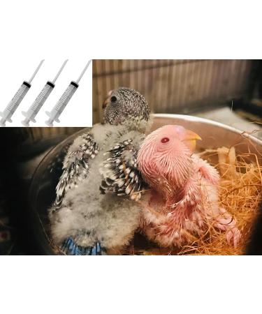 Buy 5ml 10ml & 20ml Baby Budgerigar Hand Rearing Spray | Nymphensittiche Parrot Feeding Tube | International Shipping - Buy Online on GoSupps.com