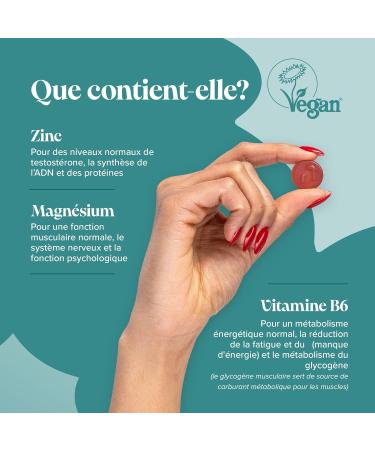 Gummies Zinc & Magnesium avec Vitamine B6 - Sans Sucre ZMA - Soutien la Sant Musculaire & Osseuse - ZMA Magn sium Zinc et Vitamine B6 60 Vegan Gummies - Multivitamines et Min raux - Novomins - Buy Online on GoSupps.com