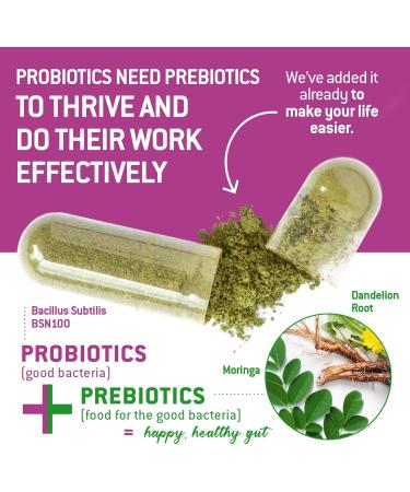 Bacillus Subtilis Spore Based Probiotic High Potency Strain with Prebiotic for Balanced Belly | Daily Gut Health & Microbiome Support for Family | 6 Billion CFU Per Day | 180 Vegetarian Capsules 90 Count (Pack of 2) - Buy Online on GoSupps.com