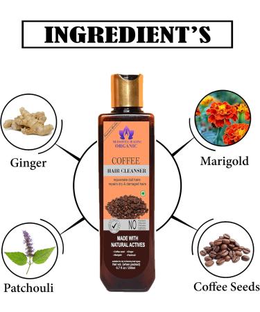 Blessfull Healing Organic Coffee Hair Cleanser | Shampoo 200 ML (Packing May Vary) - Buy Online on GoSupps.com