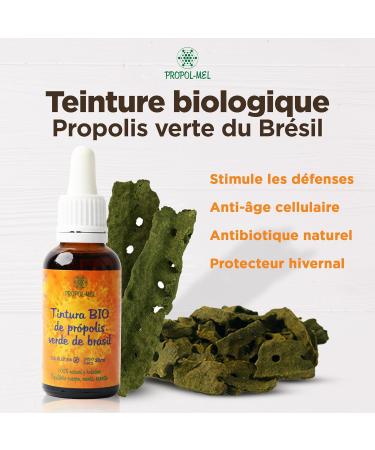 Organic Green Propolis Extract from Brazil 30 ml. Immune boosting mother tincture. 100% Natural Gluten free concentrated at 25%. - Buy Online on GoSupps.com