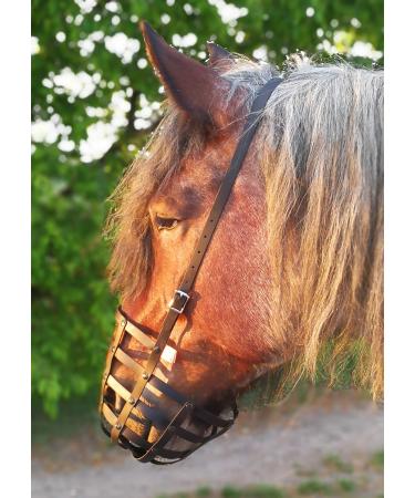Heavy Horse Feeding Muzzle | Strong & Durable for Warmbloods & Coldbloods - No Throatlatch Reinforced Base Plate - Buy Online on GoSupps.com