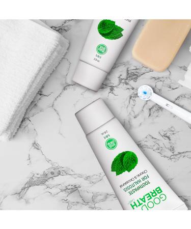 Goodbreath Toothpaste - Mint Formula for Bad Breath & Halitosis | Dentist-Recommended Ozone Technology | Fast-Acting 2.5 Oz - Buy Online on GoSupps.com